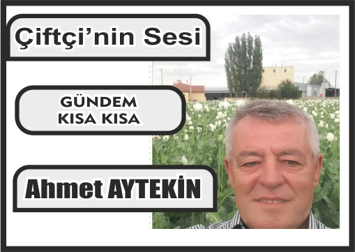 Yazarımız Ahmet AYTEKİN’in yazısı