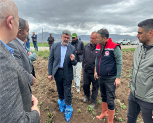 Afyonkarahisar Milletvekili Ali Özkaya,  Zirai Don Etkisi Altındaki Arazileri İnceledi