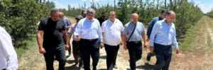 MİLLETVEKİLLERİ’İNDEN SULTANDAĞI KİRAZ BAHÇELERİNE VE MEYVE HALİNE ZİYARET