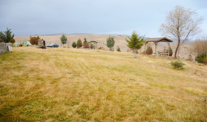 AFYONKARAHİSAR VALİLİĞİ İLİMİZDEKİ ORMANLIK  ALANLARA GİRİŞLERİ 31 EKİM’E KADAR YASAKLADI