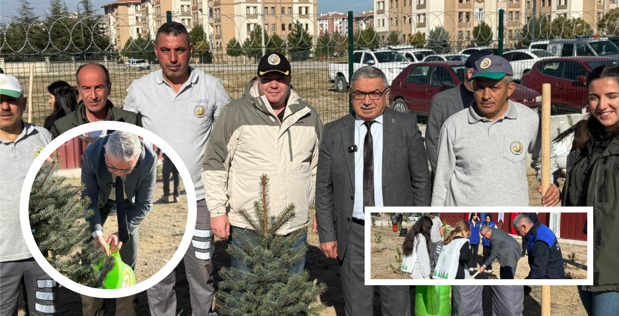 11 KASIM MİLLİ  AĞAÇLANDIRMA  GÜNÜ’NDE FİDANLAR  TOPRAKLA BULUŞTU