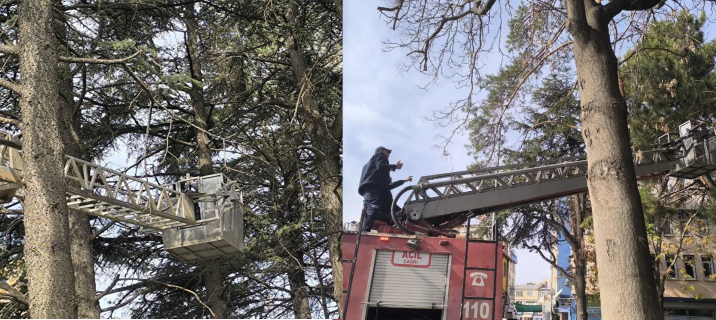 Şuhut’ta Kedinin İmdadına İtfaiye Yetişti