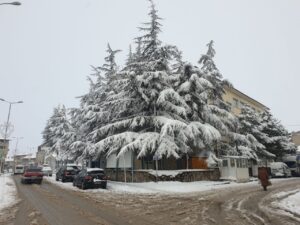 ŞUHUT’TA KAR YAĞIŞI VE SOĞUK HAVA ETKİLİ OLDU