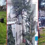 Şuhut’ta Parklar Bakıma Alındı