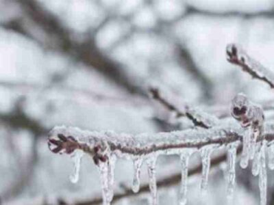 Afyon ve Çevresi İçin Zirai Don Uyarısı: Soğuk Hava Geliyor