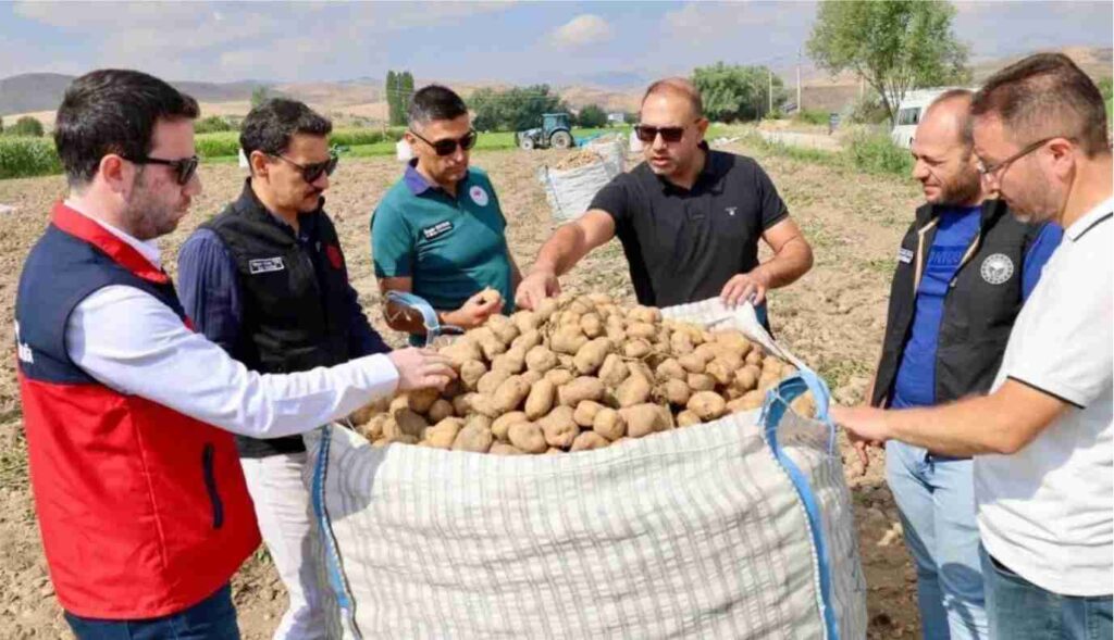 Şuhut’ta Patates Tarlalarında Hasat Mesaisi Yerinde Takip Edildi