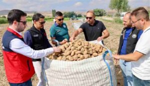 Şuhut’ta Patates Tarlalarında Hasat Mesaisi Yerinde Takip Edildi